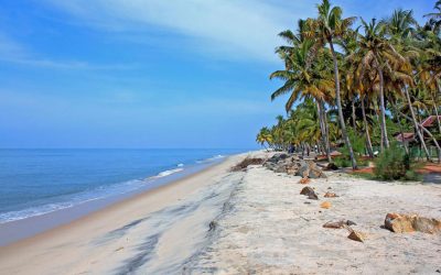 Honeymoon Tour from Cochin – 5 Days / 4 Nights