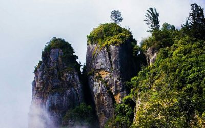 Outstation Trip from Coimbatore – 6 Days / 5 Nights